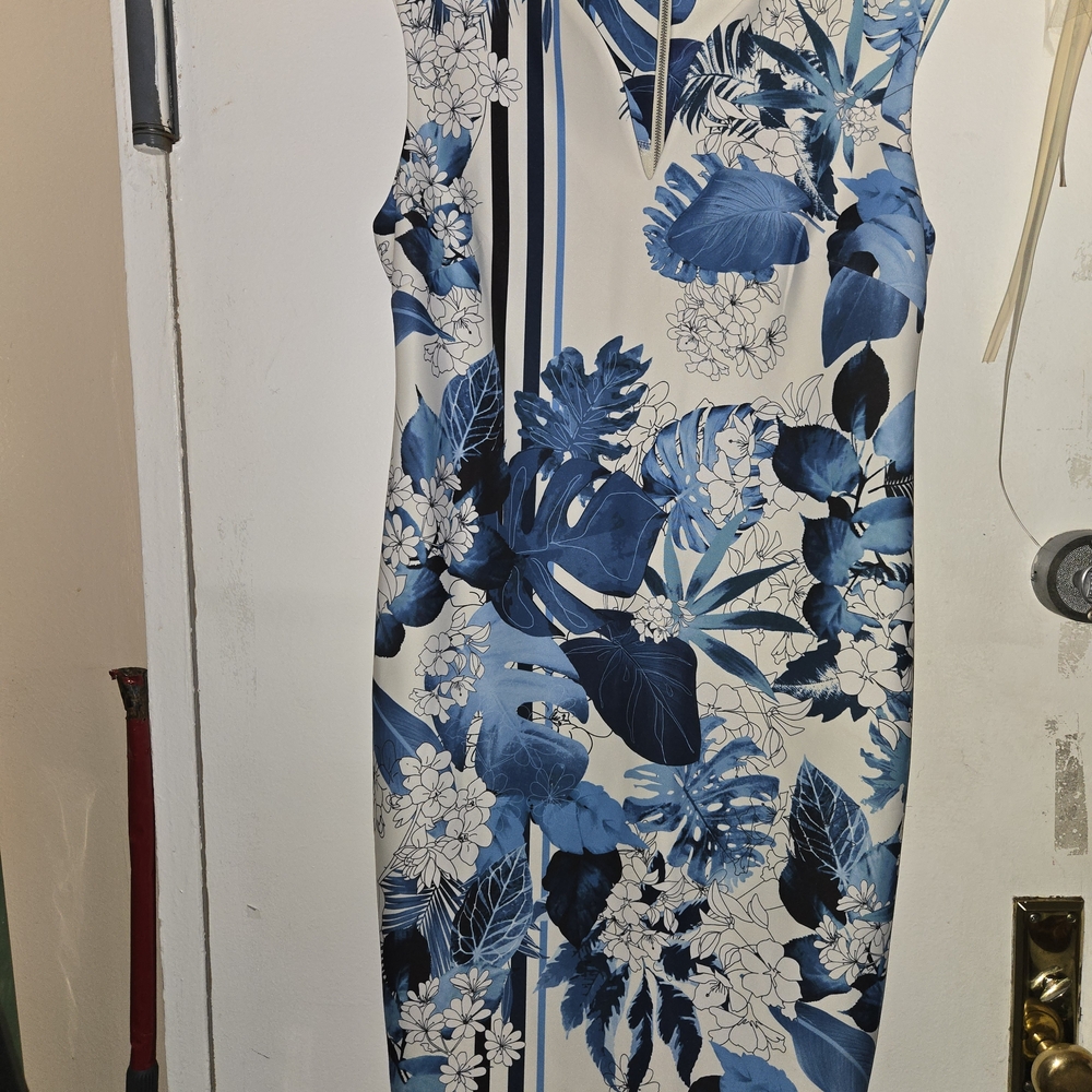 Floral Blue and White Dress